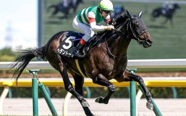 【今日の注目ポイント】東京でダイヤモンドSと京都で阪急杯 深夜にはサウジカップデー