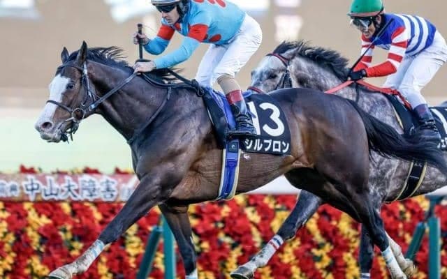 【ダイヤモンドS予想】3400mの先に輝く人馬は 特殊な条件だけに「格」より「適性」重視で