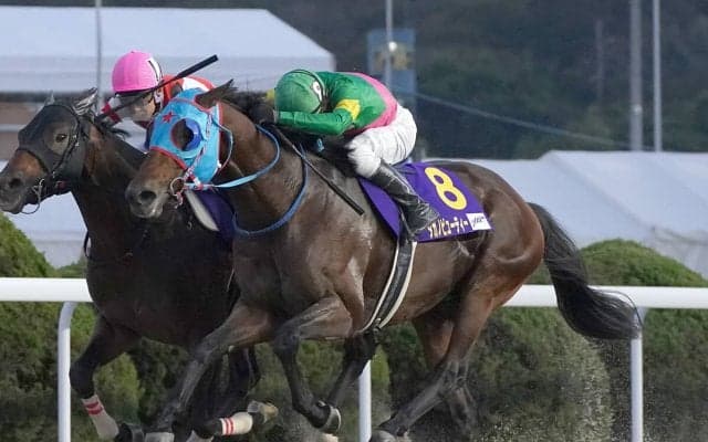 【競馬予想】フェブラリーＳ、ハイペースの消耗戦が予想される今年も末脚自慢の伏兵が高配当を運んでくる