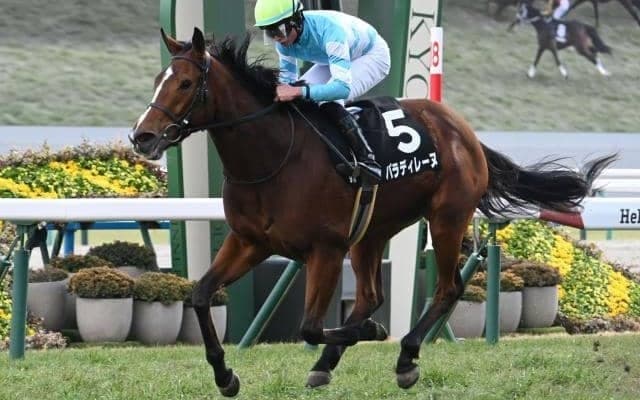 【つばき賞結果】パラディレーヌが人気に応えて2連勝