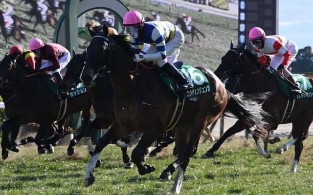 【阪急杯結果】7番人気カンチェンジュンガが大外一気V！ 重賞初制覇