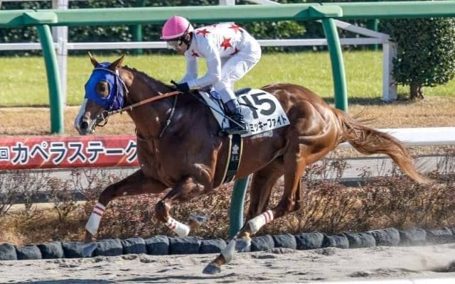【フェブラリーS予想】タイトな競馬になりやすいGIで超大型馬は不利!? 前走馬体重の傾向から導き出された危険馬とは