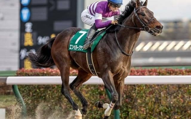 【フェブラリーS前日オッズ】エンペラーワケアが4.0倍で1番人気