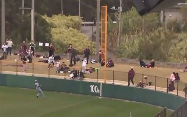 「お姉さん素敵すぎる」HRボールゲット…直後の行動に称賛殺到「優しさ泣ける」