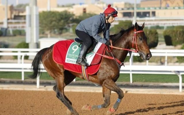 【サウジCオッズ】日本と香港のエースが人気分け合う 国内外ともに差が無く