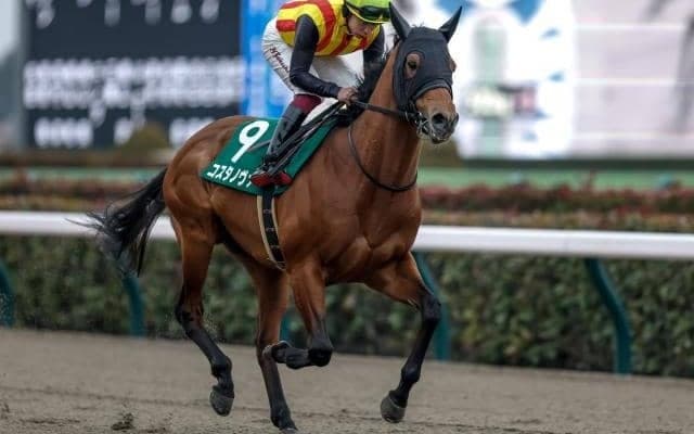 【今日の注目ポイント】ダートのマイル王決定戦フェブラリーS