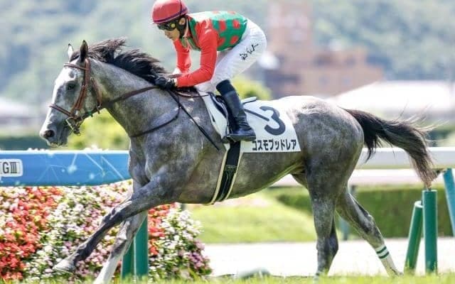 【小倉大賞典予想】2月の小倉開催を飾る一戦 1番人気＆トップハンデ不振で今年も波乱か