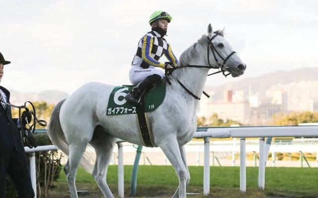 【競馬予想】好メンバーが集ったフェブラリーＳ、実績がありながら人気薄の２頭が爆発の予感