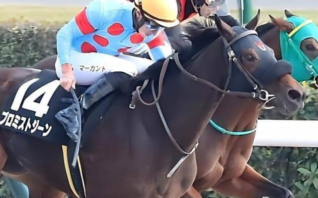 ナダル産駒の素質馬 ヒヤシンスSを制して無傷3連勝なるか