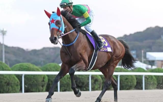 【フェブラリーS予想】「人気」「枠」「ローテ」「脚質」狙いは？ 過去データから探るGIフェブラリーS