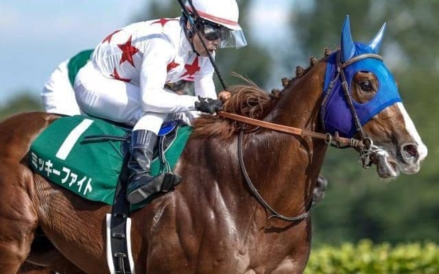 【フェブラリーS・馬体重】ミッキーファイトは550kg(-5)、コスタノヴァは494kg(-2)