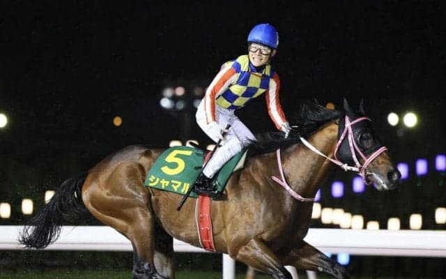 【かきつばた記念】G1馬シャマルは5枠5番へ