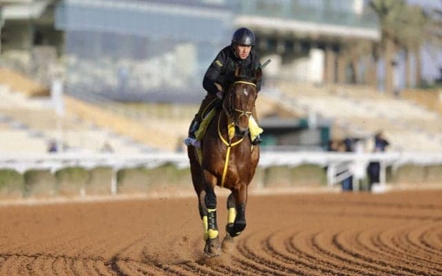 【サウジカップ】菅原「感謝の気持ちで一杯です」…古豪ウシュバテソーロは3着