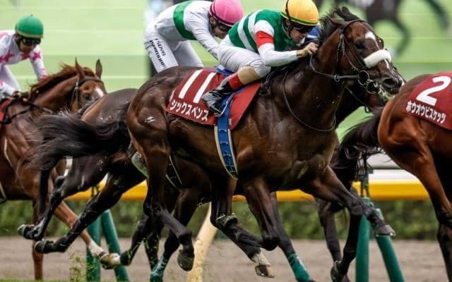 中山記念、チューリップ賞など3重賞/今週の競馬界の見どころ