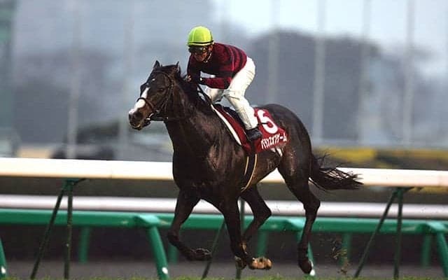 今年引退の宗像師が手掛けた名馬 バランスオブゲームの中山記念連覇