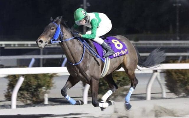 【高知・レジーナディンヴェルノ賞】兵庫サンオークレアが2馬身半差快勝