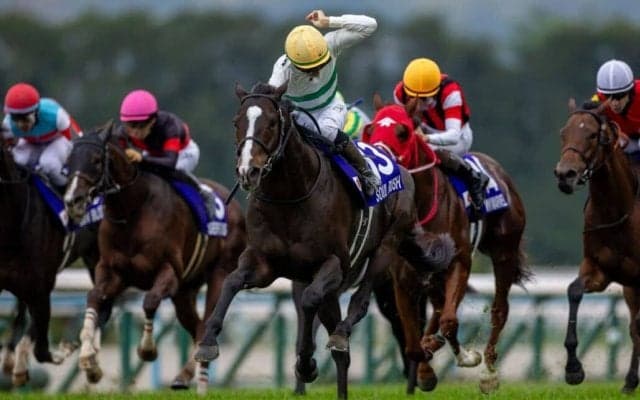 【中山記念登録馬】ソウルラッシュなど18頭…中山伝統のG2レース