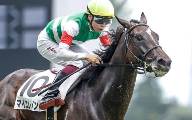 【チューリップ賞見どころ】ポテンシャル高いマイエレメントが重賞奪取だ