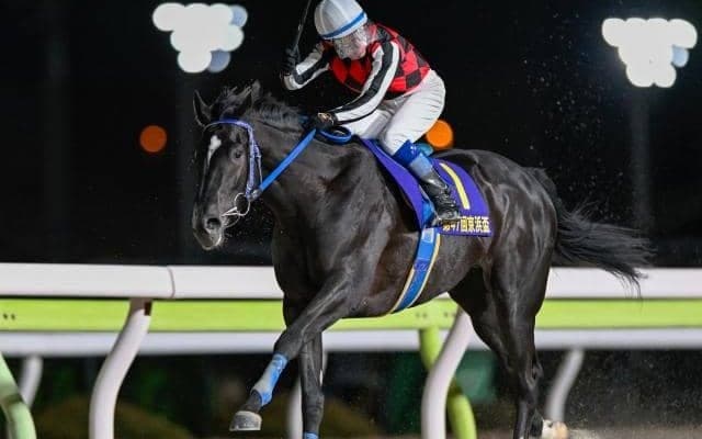 【名古屋・かきつばた記念注目馬】6月下旬のさきたま杯を目指す各馬集結 春のダート短距離戦線がここに開幕