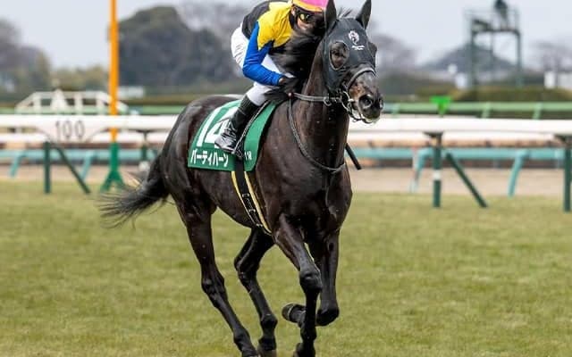 金子真人オーナーの2.7億円馬 未勝利5馬身差Vの坂井騎手とタッグで負けられない一戦
