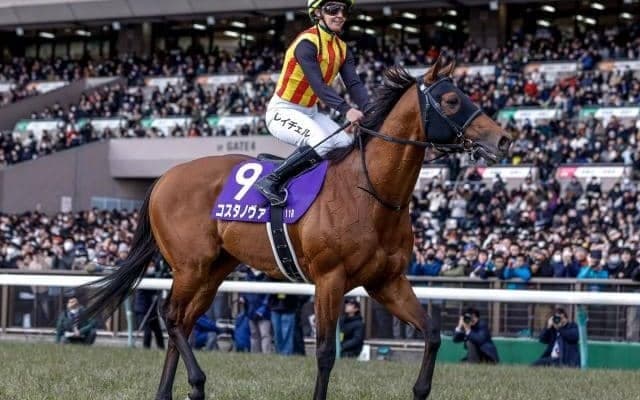 ロードカナロア産駒の「ダート向きに転化しやすい配合パターン」とは コスタノヴァのGI勝利を機に深堀り