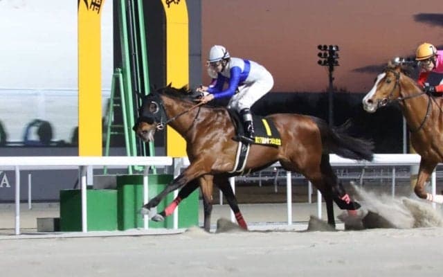 【かきつばた記念】横山和「よく凌いでくれた」ロードフォンスが交流重賞初V