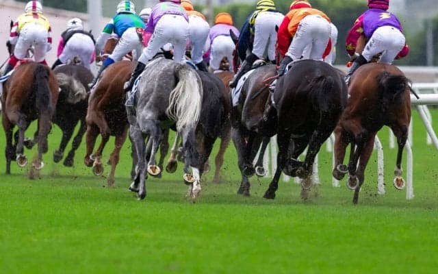 【中山記念／危険な人気馬】実績トップクラスも凡走続く条件と「0.0.0.26」の可能性浮上で“消し”　「開幕週に懸念大」