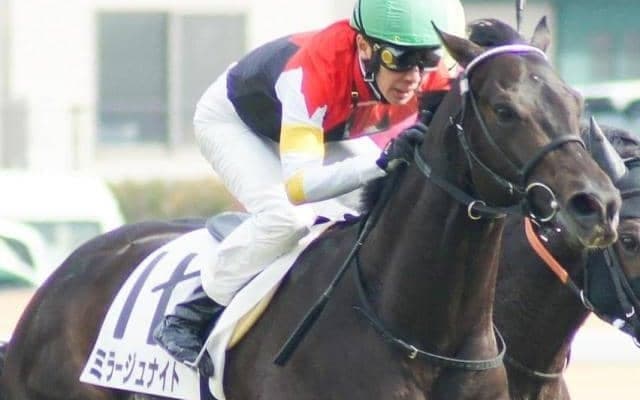 クラシックに向け負けられない一戦 名牝ラキシスの仔がすみれSに参戦