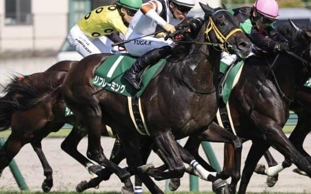 JRA現役馬残り2頭のキングヘイロー産駒の1頭 定年迎える鮫島師に中山記念で重賞タイトルもたらすか