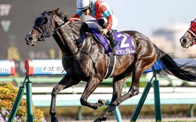 22年スプリンターズS覇者ジャンダルムが10歳で死す 初年度産駒は来年デビュー予定