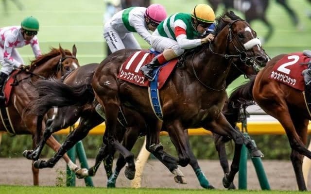 【中山記念予想オッズ】シックスペンスが予想1番人気