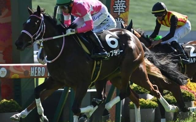 【チューリップ賞予想オッズ】ビップデイジーが予想1番人気