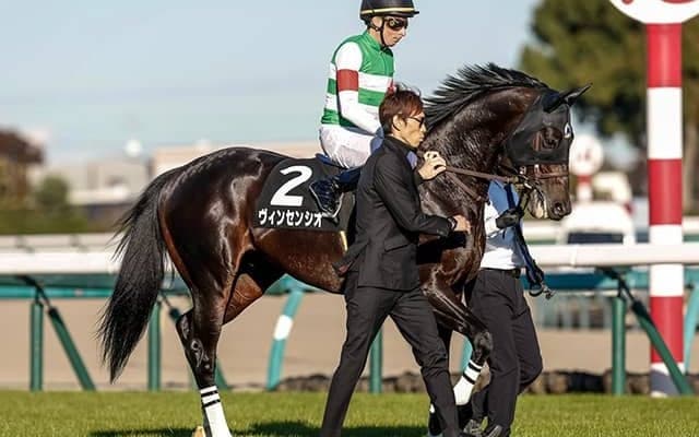 【弥生賞想定】ヴィンセンシオ、ミュージアムマイルなど15頭