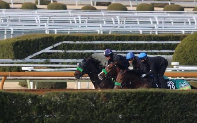 ナグルファル、弥生賞1週前追い切り速報/栗東トレセンニュース