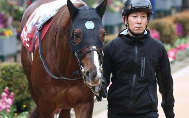 中山記念史上最高齢Vなるか 9歳古豪が9か月ぶり実戦で久々の白星狙う