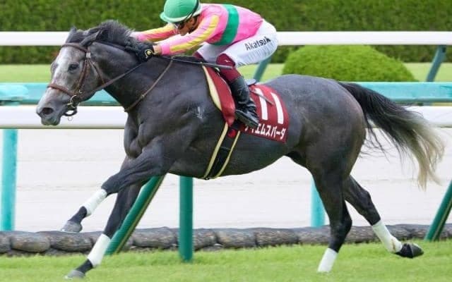 木原一良調教師はオーシャンSがラスト重賞 テイエムスパーダと愛弟子の逃走Vなるか