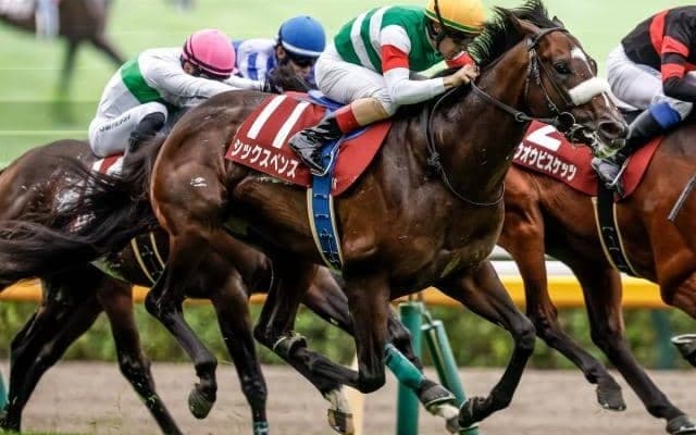 【中山記念予想】1番人気が3年連続馬券外と苦戦続き AIが中心視する実績馬の信頼度は？