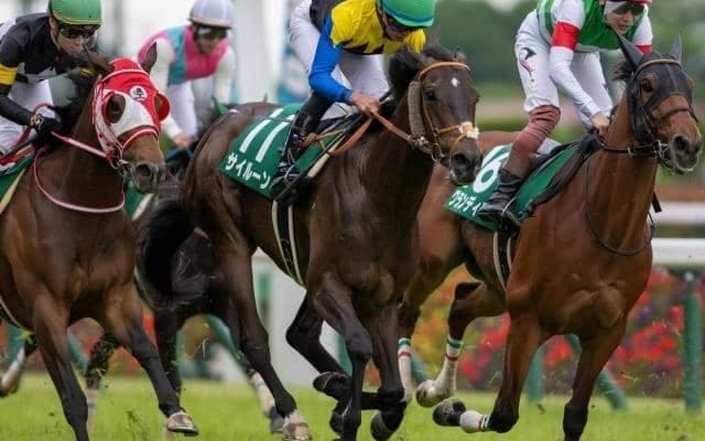 ノースフライト一族悲願の重賞制覇へ 本格化の気配漂う6歳馬が中山記念に参戦