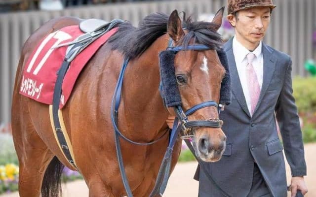 エアグルーヴ一族初のスプリント重賞Vへ 一発の可能性秘める孫がオーシャンSに参戦