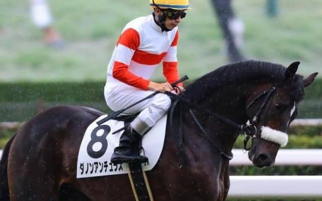 伯母に米G1覇者を持つ2.5億円馬 “三度目の正直”で初勝利狙う