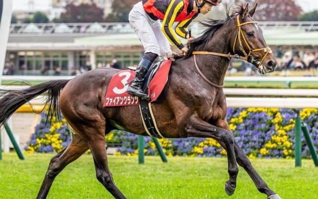 先週GI制覇の半兄に続くか 世代屈指の強豪相手に善戦した期待馬がクラシックに向け賞金加算狙う