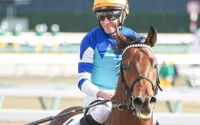 “ハマの大魔神”佐々木主浩オーナーの愛馬が2戦目 鞍上に武豊騎手を迎え待望の初勝利狙う