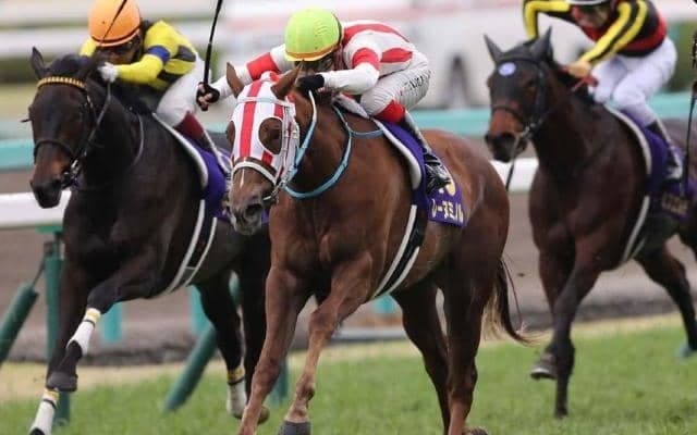 桜花賞馬レーヌミノルの仔が初陣 母に産駒の中央初白星を届けるか