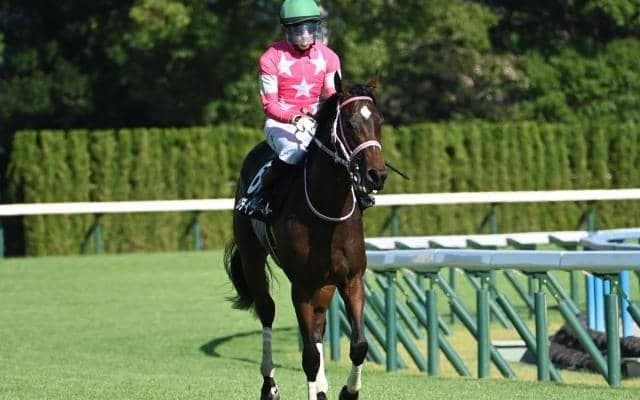 【チューリップ賞枠順確定】ビップデイジーは6枠9番、マイエレメントは8枠14番