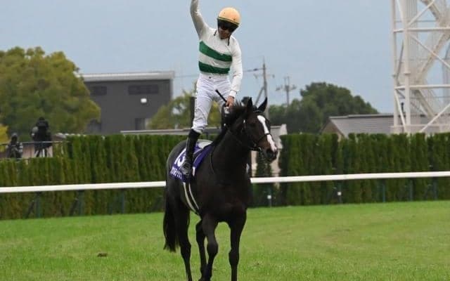 【中山記念枠順確定】ソウルラッシュは4枠8番、シックスペンスは1枠1番