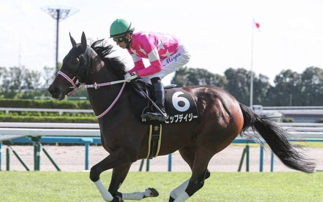 注目のトライアルを前にしてクラシックで有望とされる「３歳牝馬ランキング」