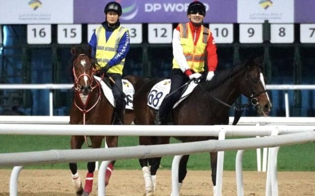 ドバイ・スーパーサタデーにテーオーサンドニ、アメリカンステージが出走