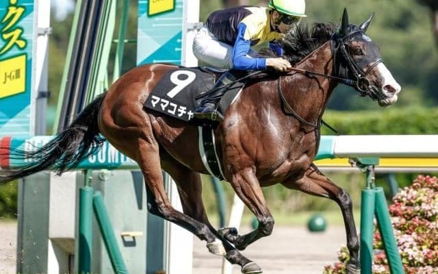 【今日の注目ポイント】中山でオーシャンSと阪神競馬場がリニューアルオープン