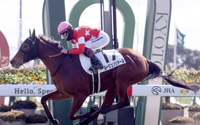 【競馬予想】チューリップ賞は「荒れるレース」に変貌　穴党記者が注目する超ド級の穴馬