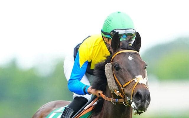 【競馬予想】春のＧⅠにつながる中山記念で狙うべき血統は？　コース適性からベテラン馬２頭の奮闘に期待